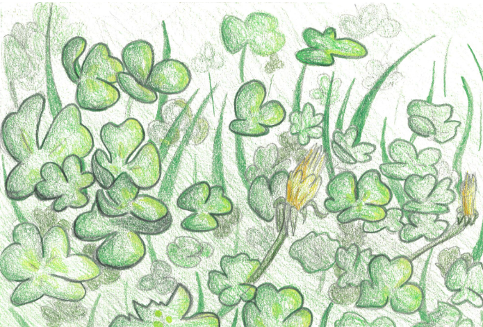 Preview image for the Observational Drawings
